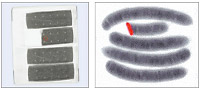 Missing Product Detection