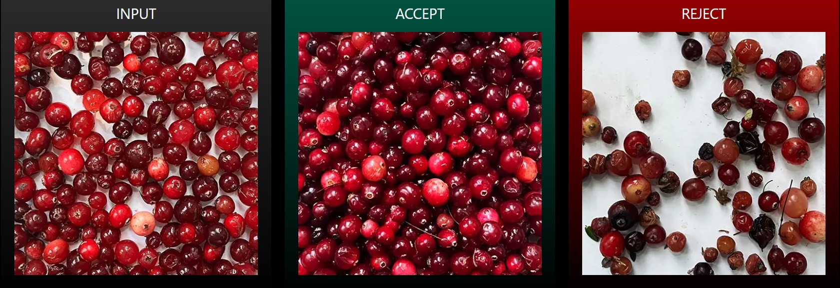very berry