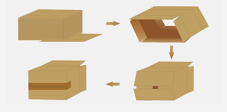 carton folding erecting