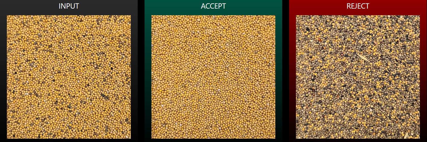 grain